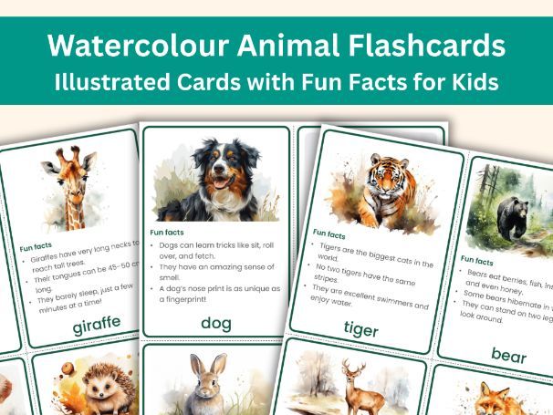 Animal Flashcards – 28 Beautiful Watercolour Cards with Fun Facts | KS1 Science