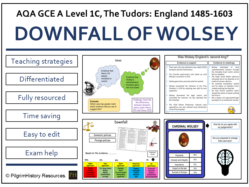 The Downfall of Wolsey: Causes, Court Politics and Consequences | AQA A Level History