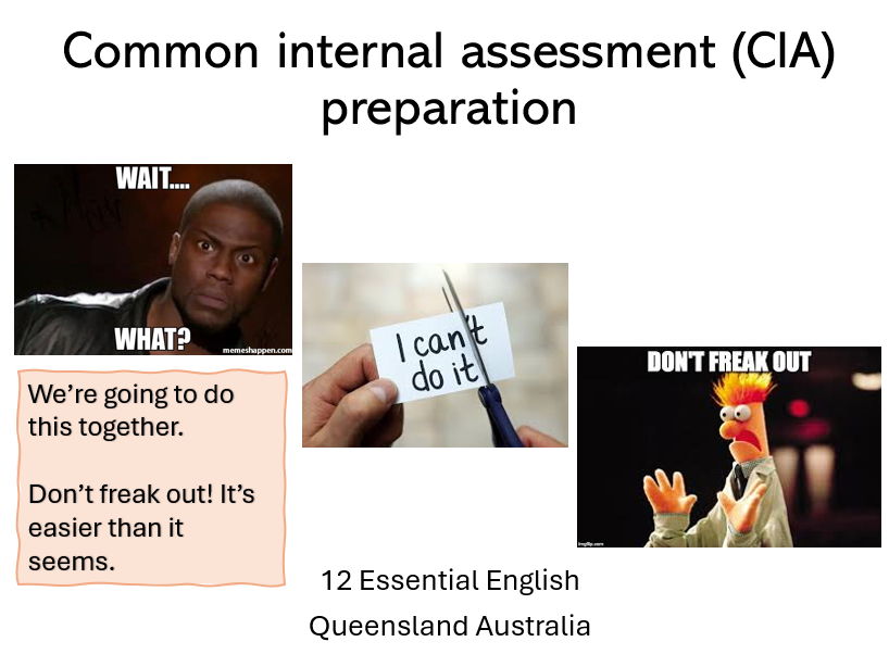 12 Essential English – CIA Exam Prep (QLD) – What to expect from the exam