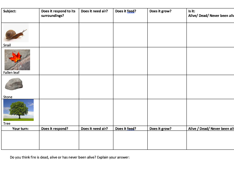 Dead Never Alive Or Alive Worksheet KS1 Science Teaching Resources