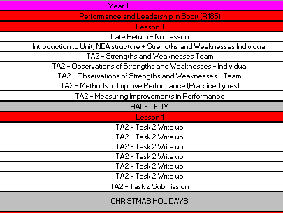 NEW SPEC SPORT STUDIES CURRICULUM DELIVERY PLANNER