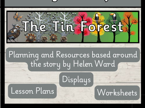 'The Tin Forest' Year 2 English Planning and Resources