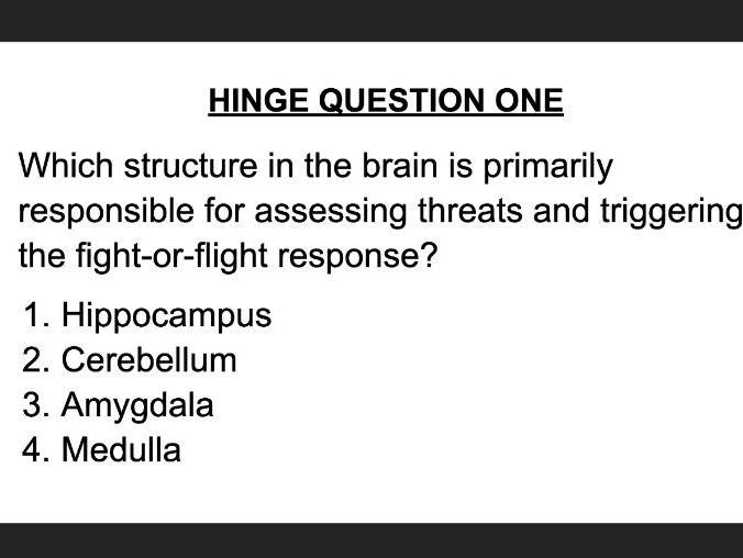 Neural and hormonal explanation for aggression - full lesson free
