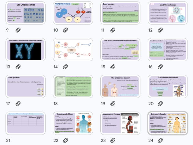 Biological Sex -Gender NEW AQA A Level Psychology 2025 Spec