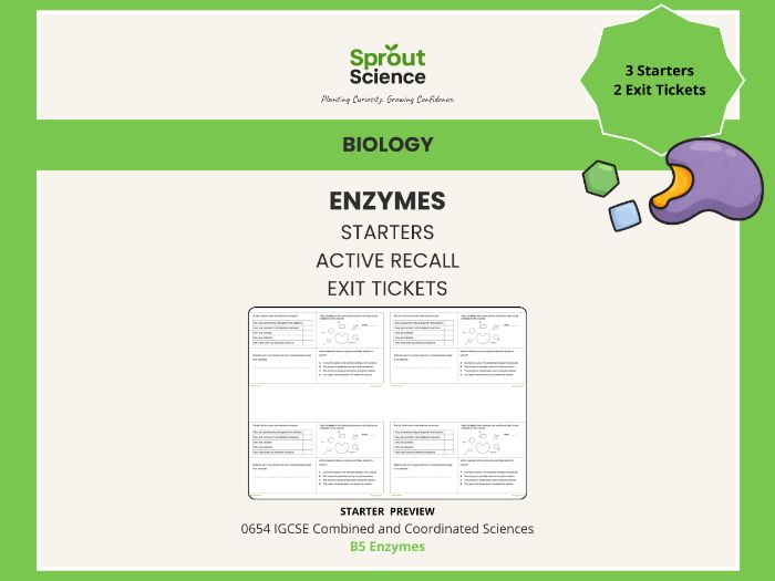 B5 Enzymes | Starter Activities & Exit Tickets | IGCSE Biology