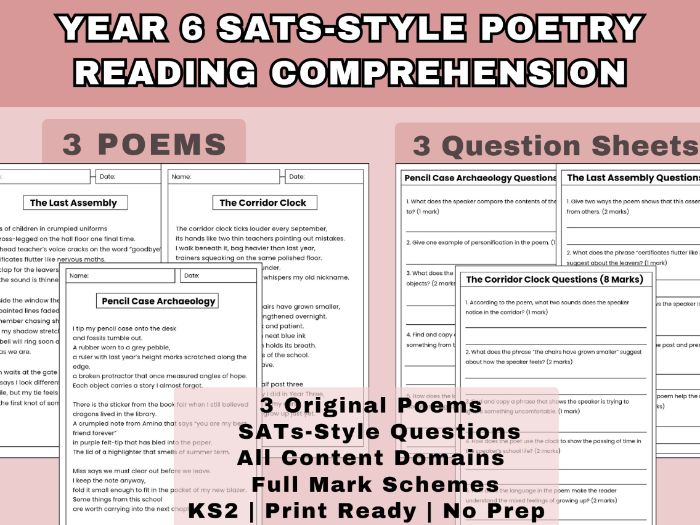 Year 6 SATs Poetry Reading Comprehension | 3 Poems + Questions + Mark Scheme | KS2