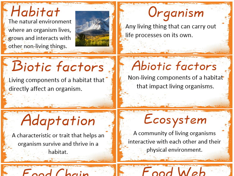 KS2 Living Things and their Habitat display Vocabulary