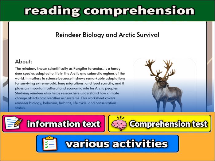 Reindeer Biology and Arctic Survival - zoology & Activities