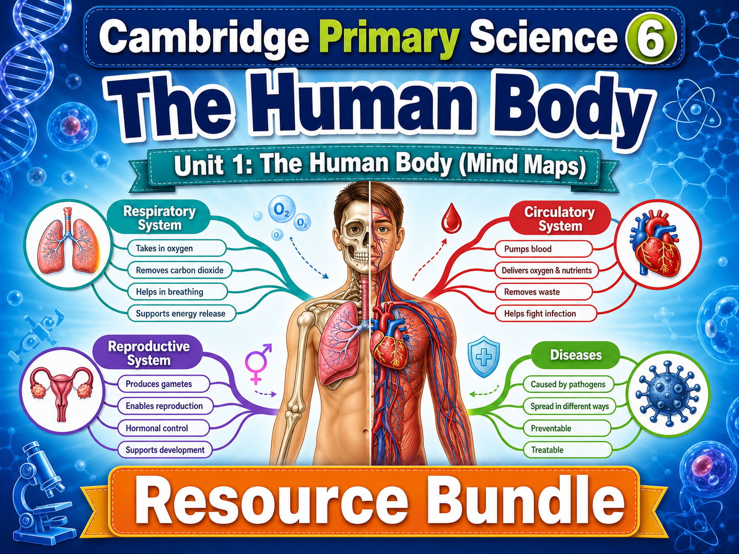 Cambridge Primary Science 6: Unit 1 The Human Body