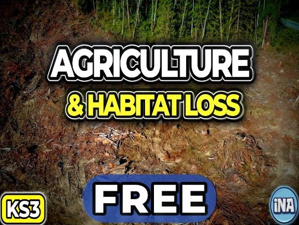 Agriculture and Habitat Loss - FREE KS3 Biology Worksheet