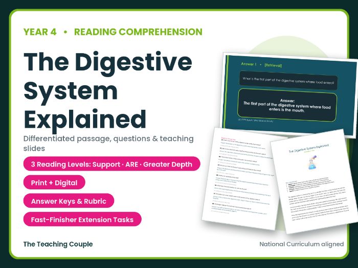 The Digestive System Explained Reading Comprehension | Year 4 (KS2)