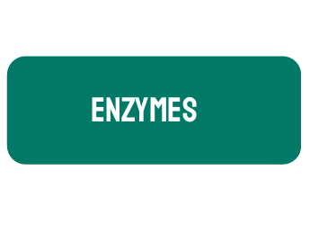 AP Biology Unit 3: Enzymes