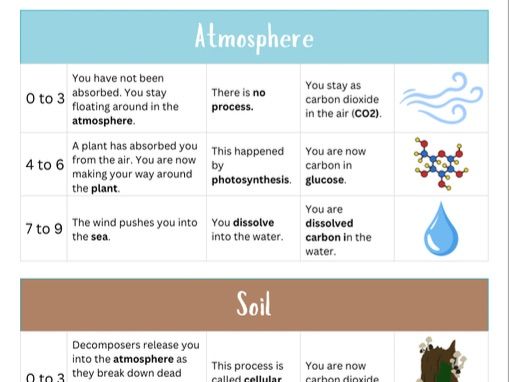 The Carbon Cycle Game