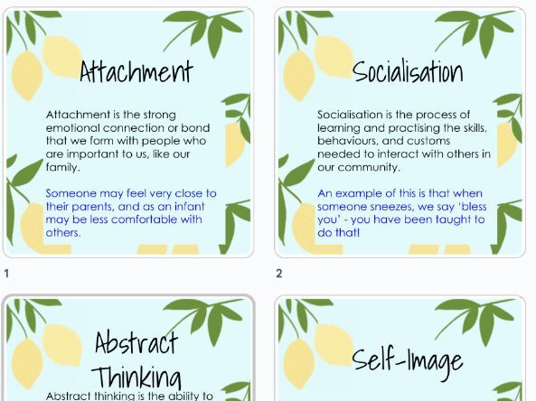 BTEC Tech Award  Health and Social Care - Key Terms for Display (Lemon Background)