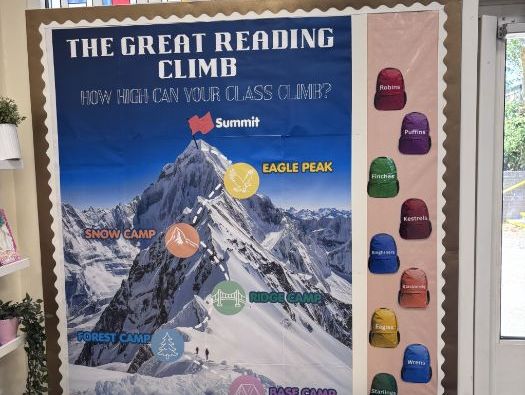 Reading Challenge Display