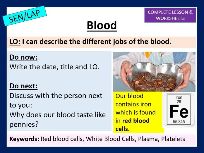 Blood - SEN