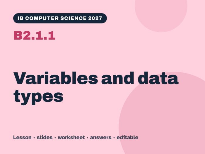 IB Computer Science 2027 – B2.1.1 Variables and data types – Lesson & Worksheet