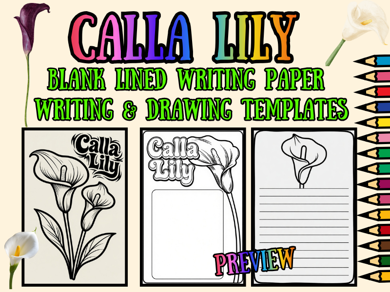 Calla Lily Coloring Pages with Blank Lined Writing Paper | No Prep Pack