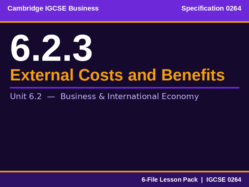Cambridge IGCSE Business 0264 | 6.2.3 External Costs and Benefits | Lesson Pack