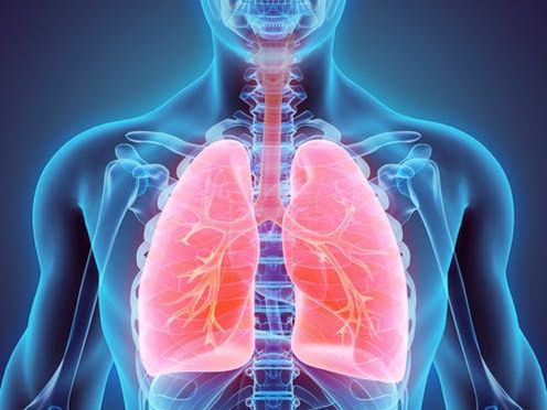 Cambridge Technical Unit 1 Body System LO4 Respiratory