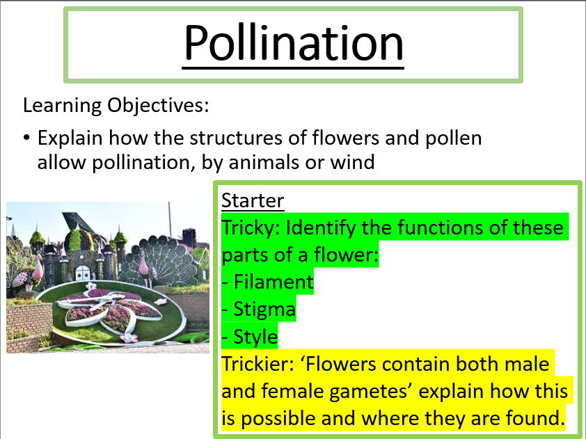 Pollination