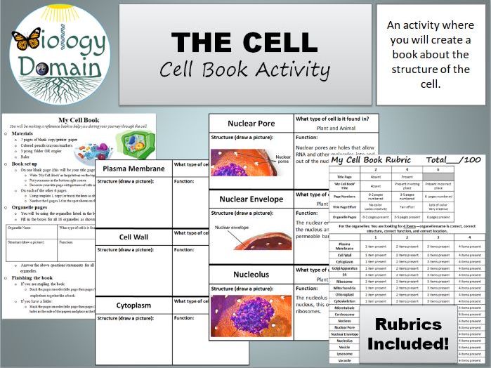 Cell Book Activity with rubric and answer key