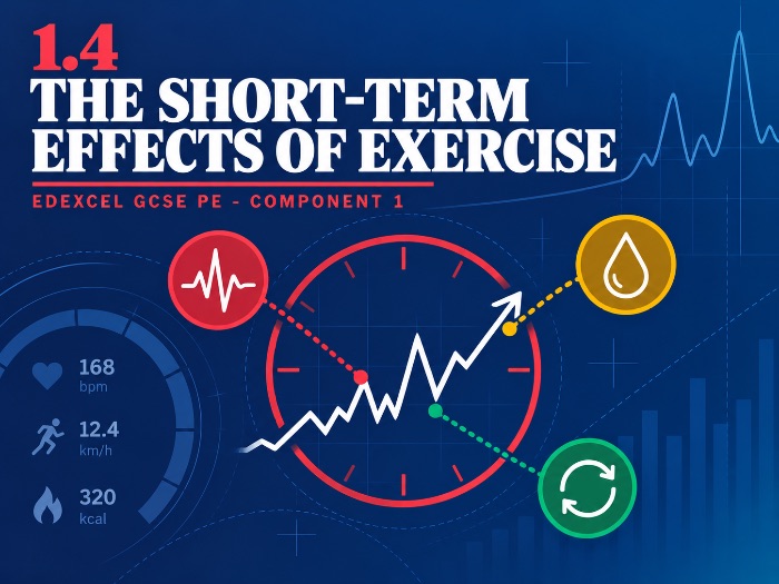 Edexcel GCSE PE 1.4 The Short-Term Effects of Exercise - Complete Lesson