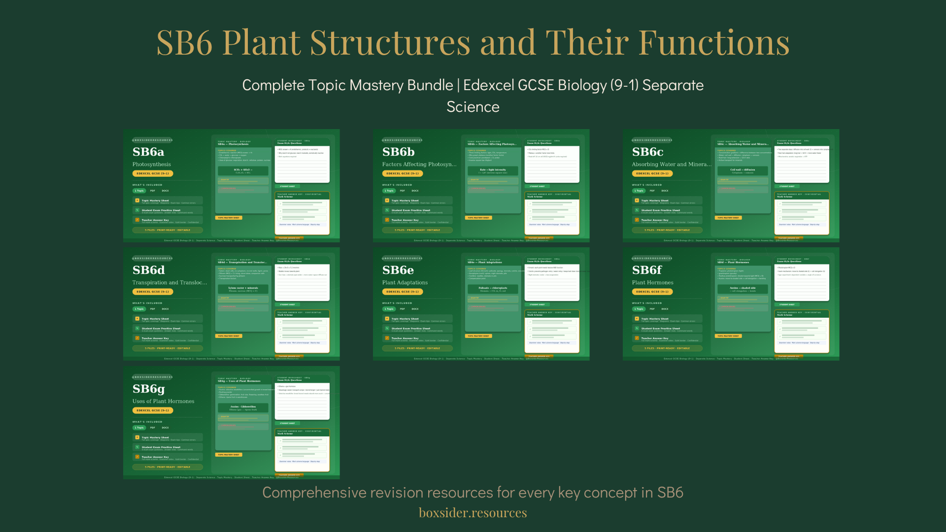 SB6 Plant Structures and Their Functions | Complete Topic Mastery Bundle | Edexcel GCSE Biology (9–1) Separate Science
