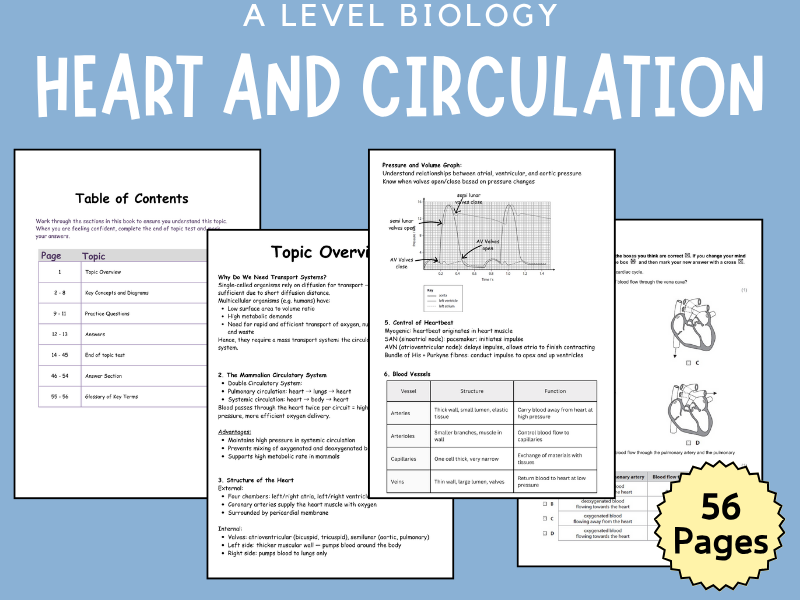 Heart and Circulatory System Revision Booklet (A level Biology)