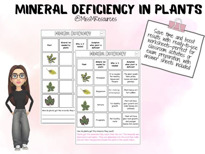 Mineral Deficiency in Plants KS3 Worksheet