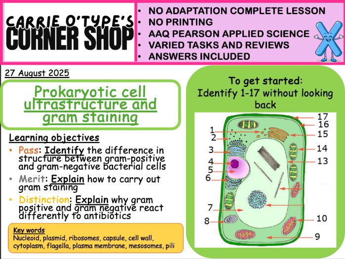 Prokaryotic Cells and Gram Staining - AAQ Pearson Applied Science