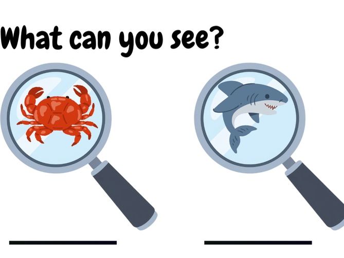 What can you see? Under the sea animals 8 pages