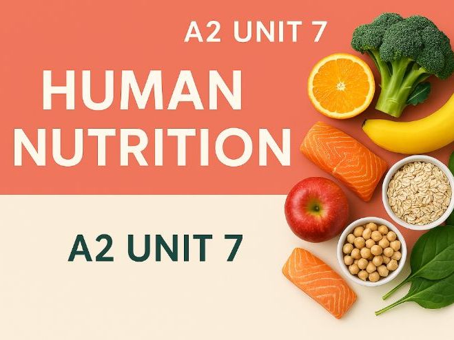 A2 Health and Social Care – Unit 7: Human Nutrition – Full Year Workbooklet