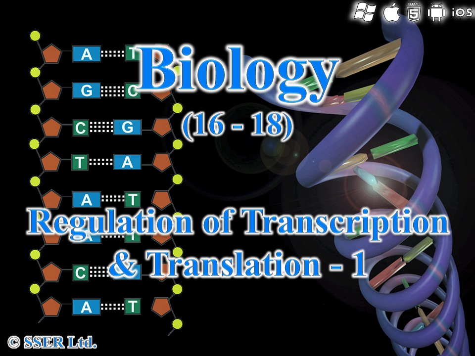 BioA_3.8.2.2 Regulation of Transcription & Translation - 1