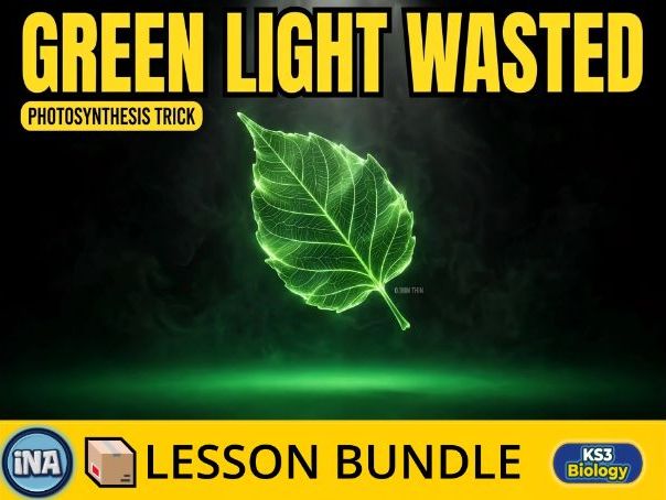 Plant Adaptations for Photosynthesis - Complete KS3 Biology Lesson Pack