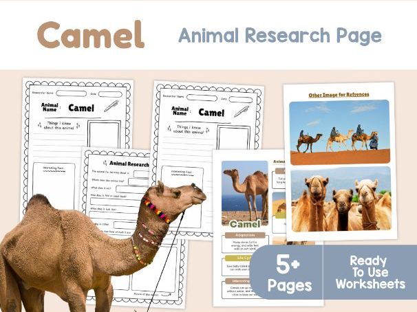 Camel Research Project | Desert Habitat and Animal Adaptations