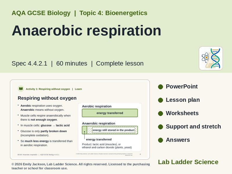 B4-09 Anaerobic Respiration: AQA GCSE Biology | Teaching Resources