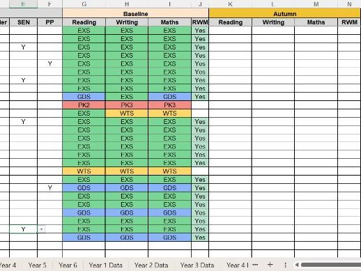 Primary Whole School Assessment Spreadsheet RWM