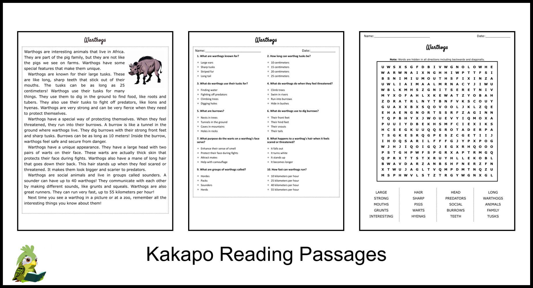 Warthogs Reading Comprehension and Word Search | Teaching Resources