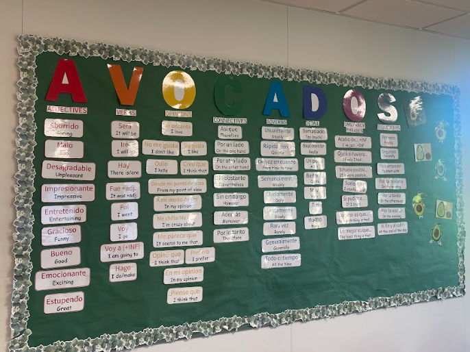 AVOCADO Spanish Display