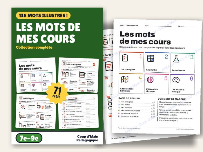 French Newcomer Vocabulary Grade 7-9 Word Wall 6 Lists | Les mots de mes cours