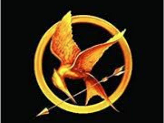 Book Bingo and Quiz to suggest books