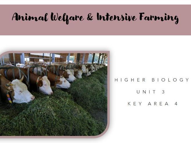 Animal Welfare and Intensive farming