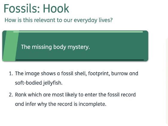 Fossils (GCSE)