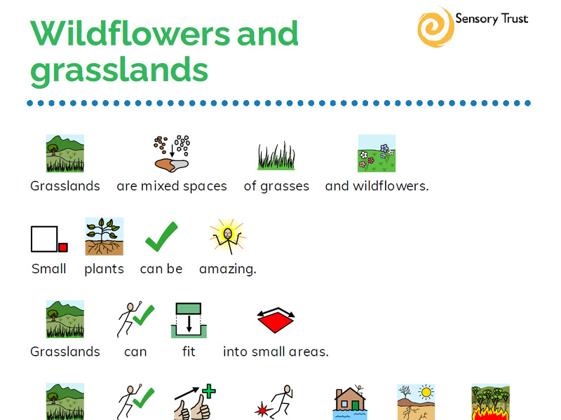 Climate Cooler Schools: wildflowers and grasslands (explainers and comprehension activity)