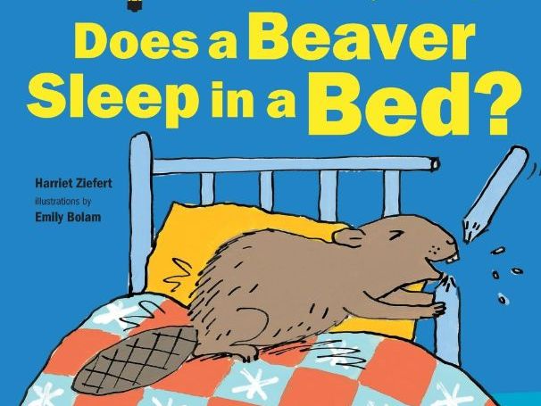 Does a Beaver Sleep in a Bed?（pptx）