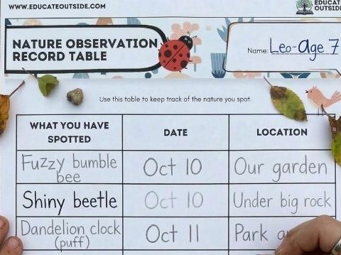 Nature Observation Worksheet | Printable Outdoor Science Recording Table KS1 KS2