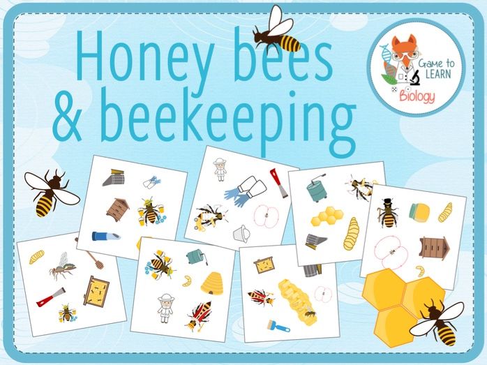 Honey bees & Beekeeping - "Who can see it first?" Card Game