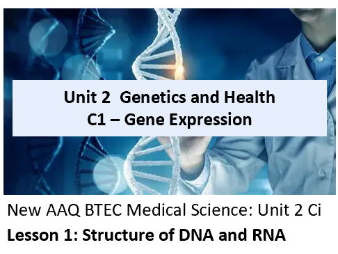 AAQ BTEC Medical Science Unit 2 Ci Gene Expression – Lesson 1 Structure of DNA & RNA