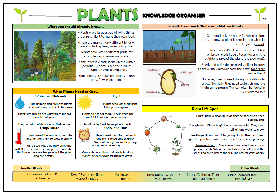 year 2 plants homework